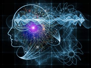 Cerveau Cerveau