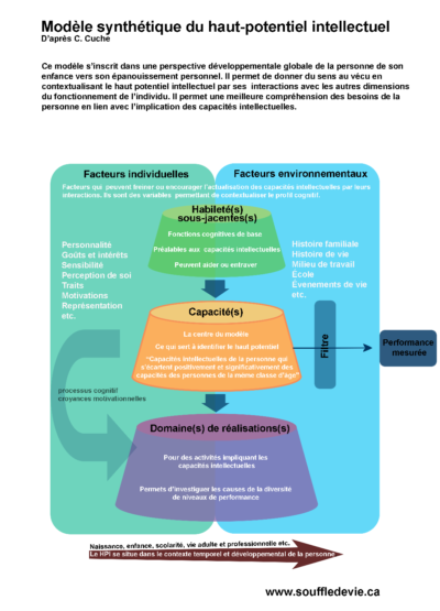 modèle synthétique du haut potentiel intellectuel de C. Cuche